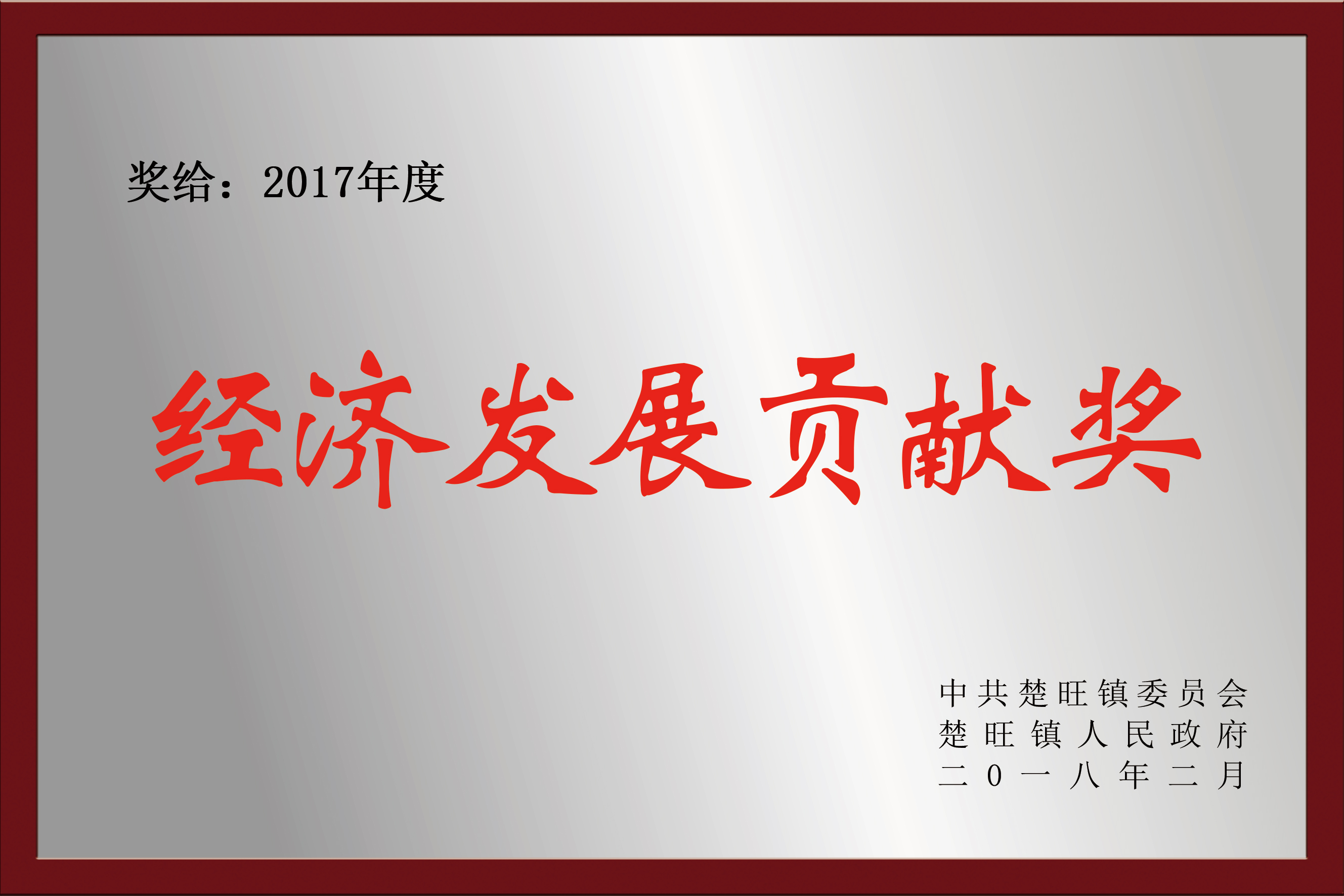 2017年度 经济发展贡献奖
