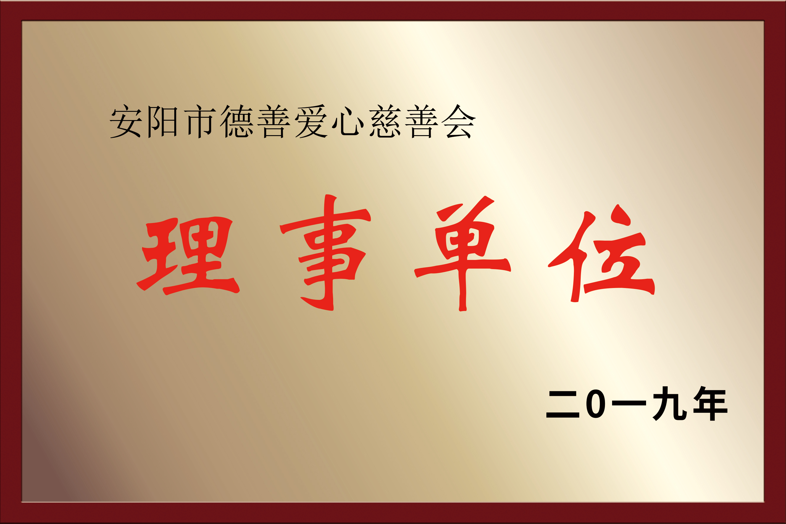 安阳市德善爱心慈善会 理事单位